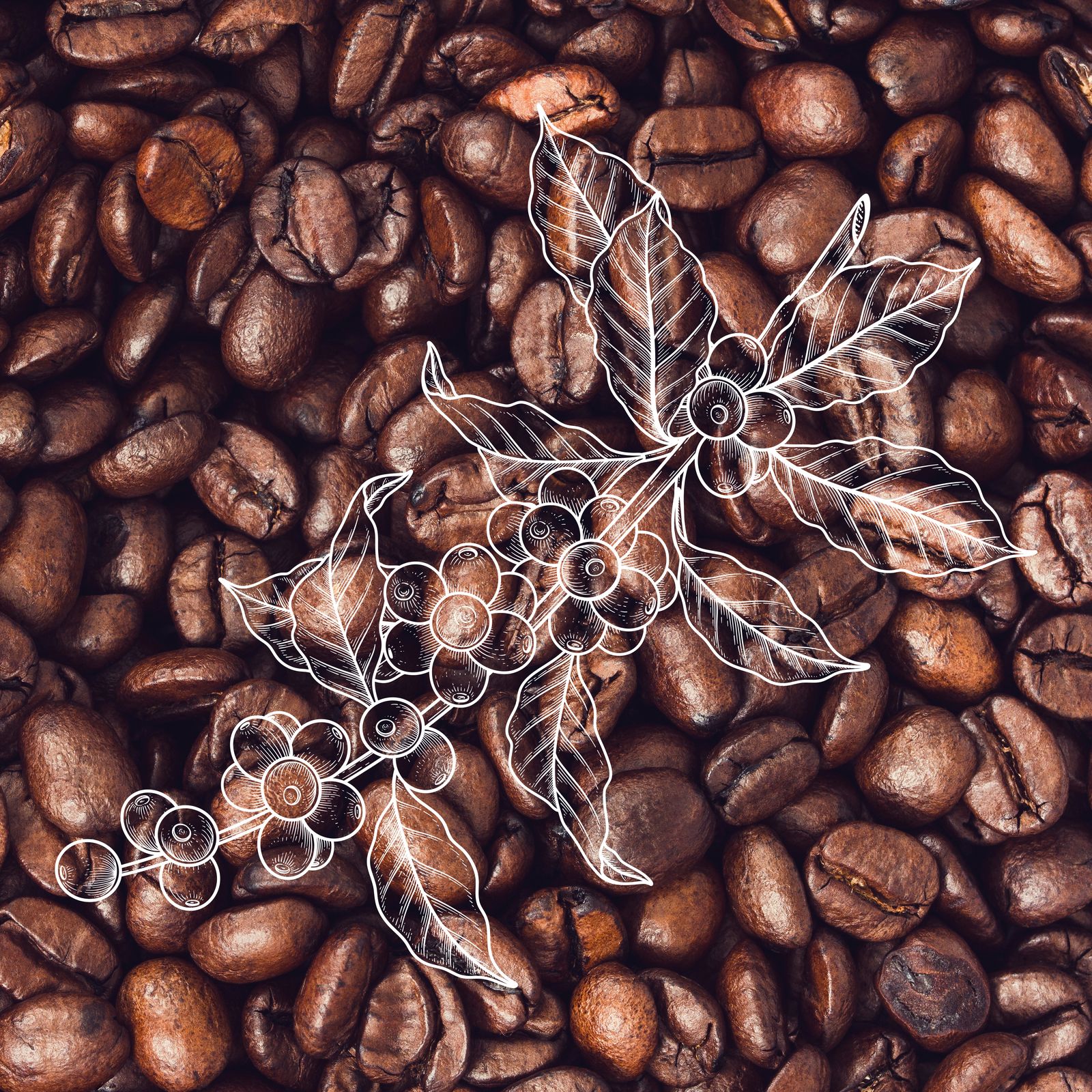 Café Casteletes, branding e packaging