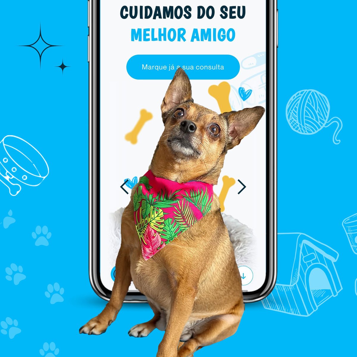 Website, loja online e aplicação móvel da Clínica Veterinária de São Gonçalo, nos Açores