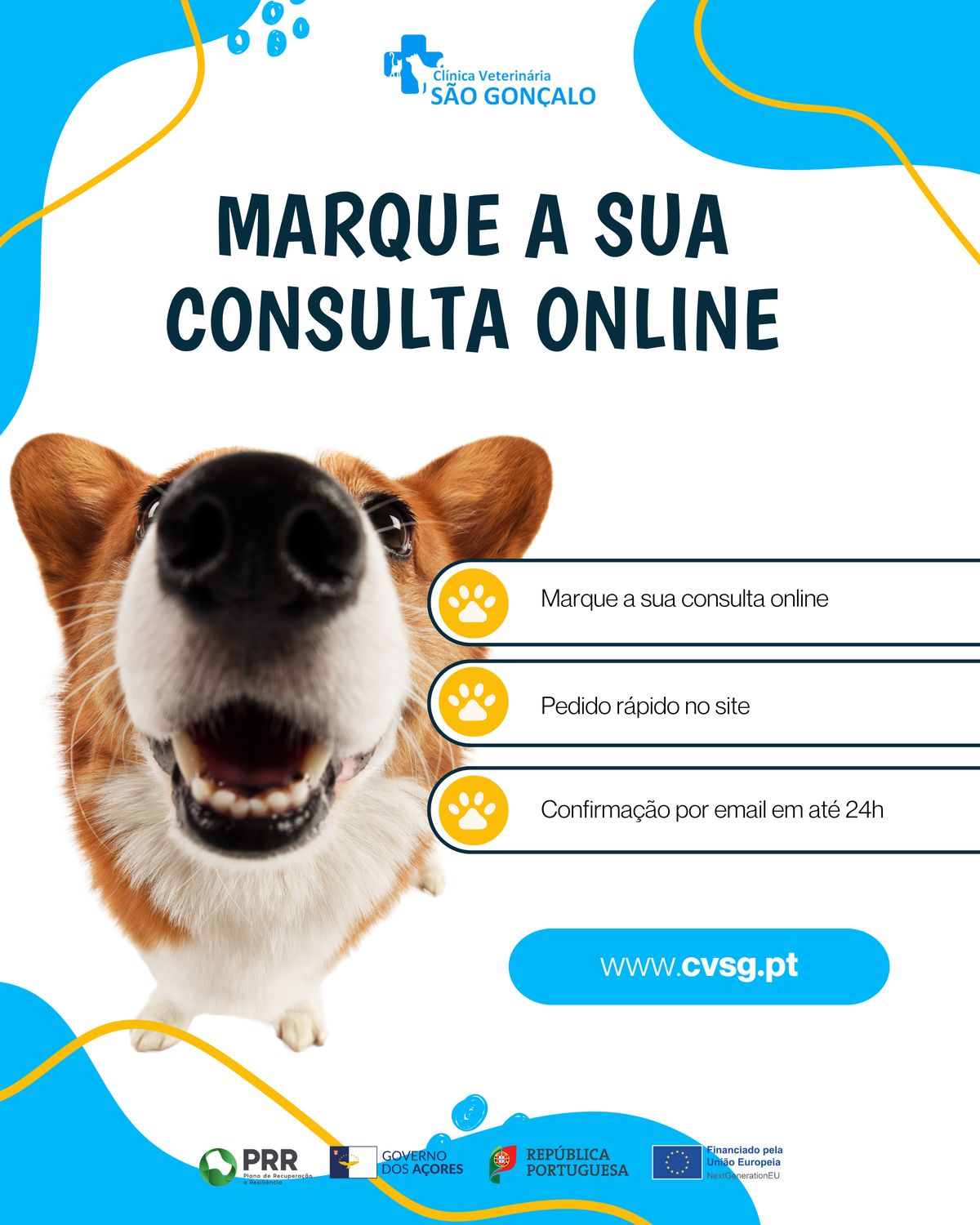 Template a divulgar a marcação de consultas online no site da Clínica Veterinária de São Gonçalo