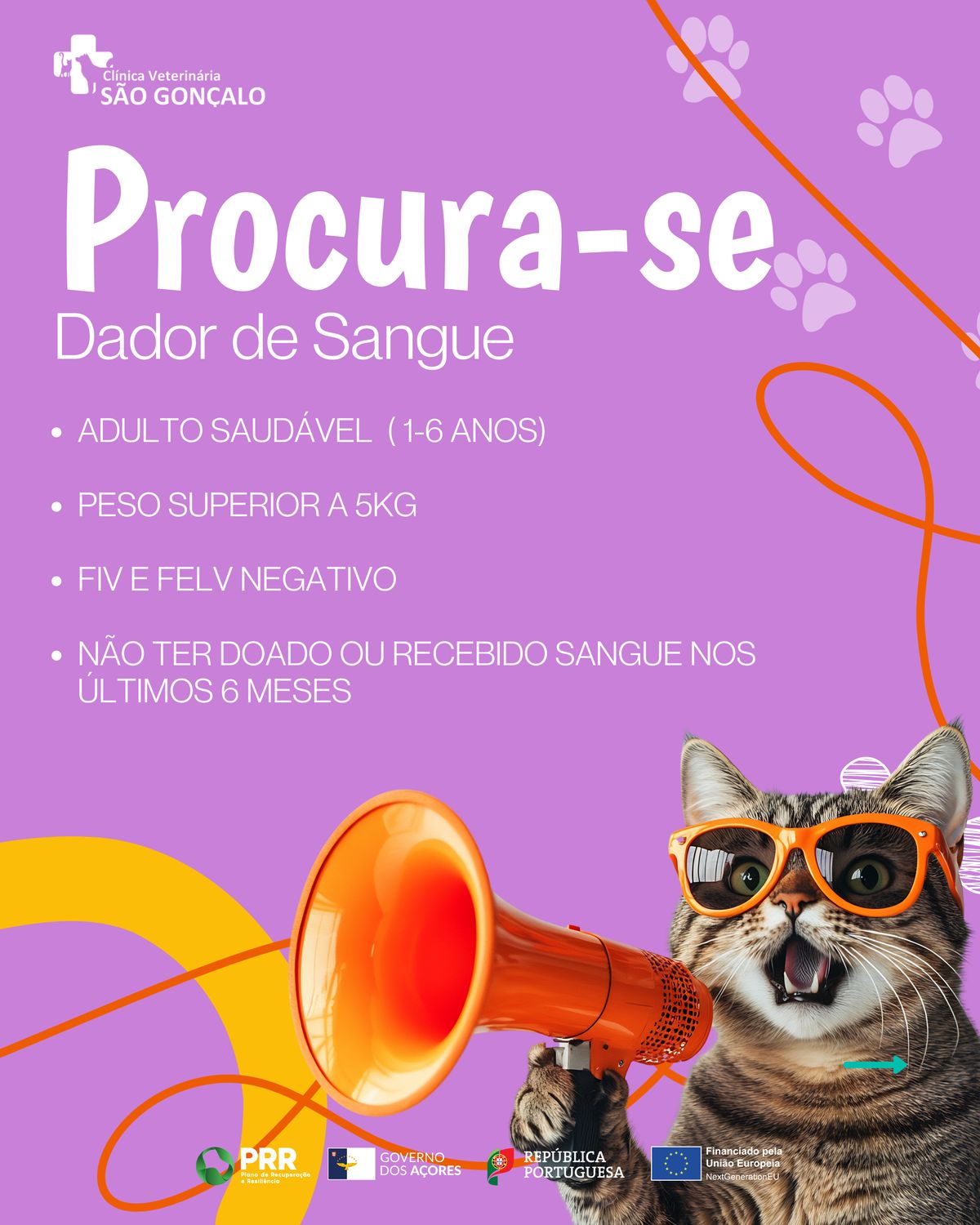 Template de campanha à procura de dadores de sangue animal, com os requisitos para doação
