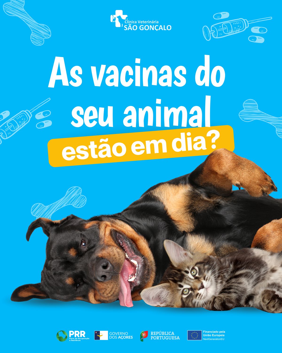 Template de campanha de vacinação a perguntar se as vacinas do animal estão em dia