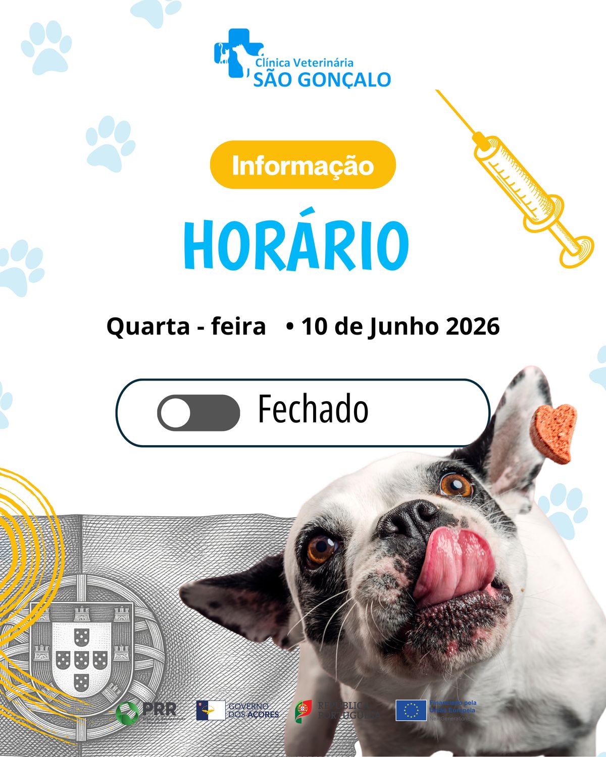 Template de aviso de horário e encerramento pontual da clínica veterinária