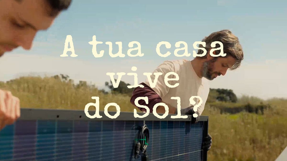 Pequena Grande Casa, Identidade visual, materiais e website